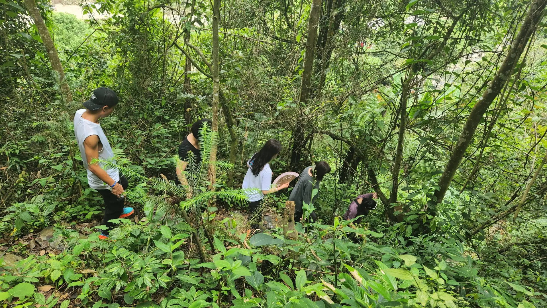 Trekking rừng